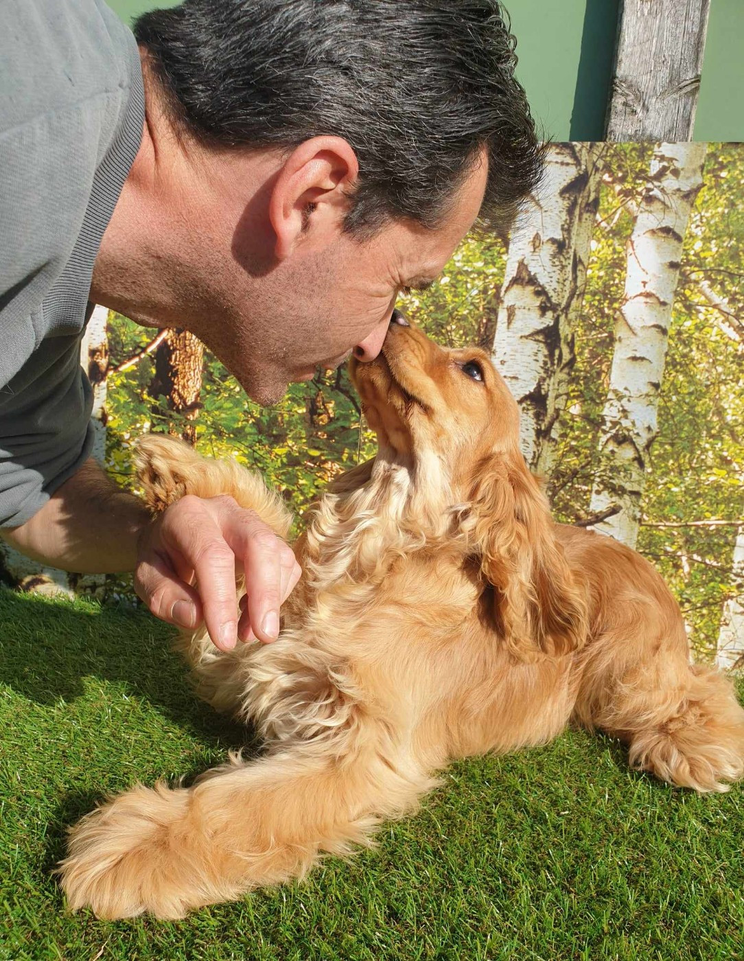 V'calliopée du domaine de Std Gladyce