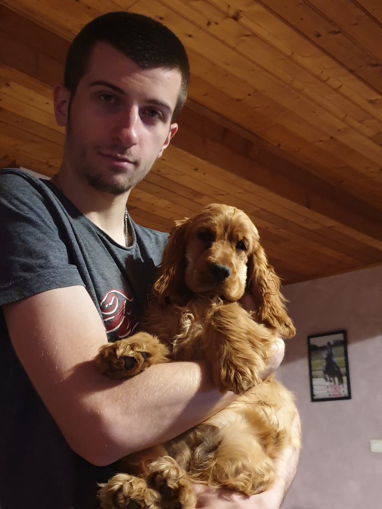 Adisson du domaine de Std Gladyce