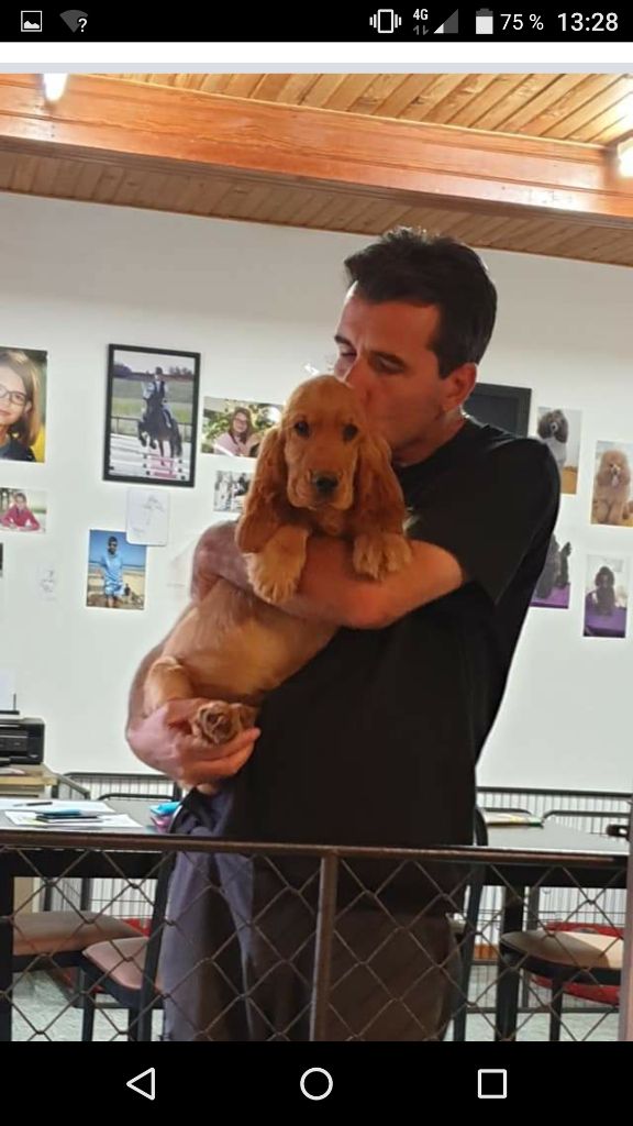 Avalanche du domaine de Std Gladyce