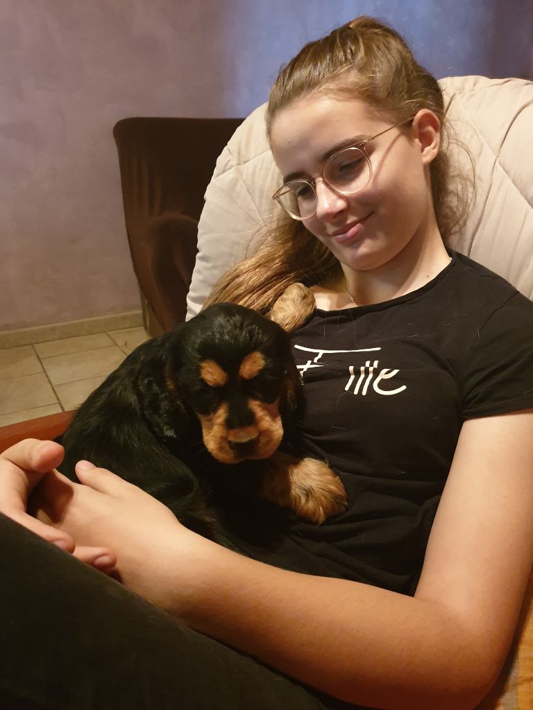 Amethyste du domaine de Std Gladyce