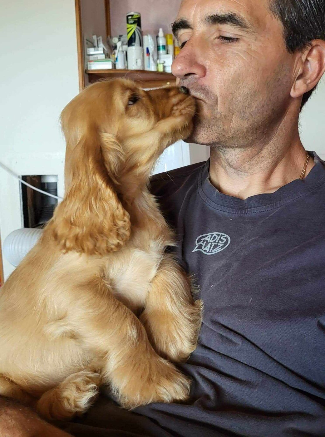 atlanta du domaine de Std Gladyce