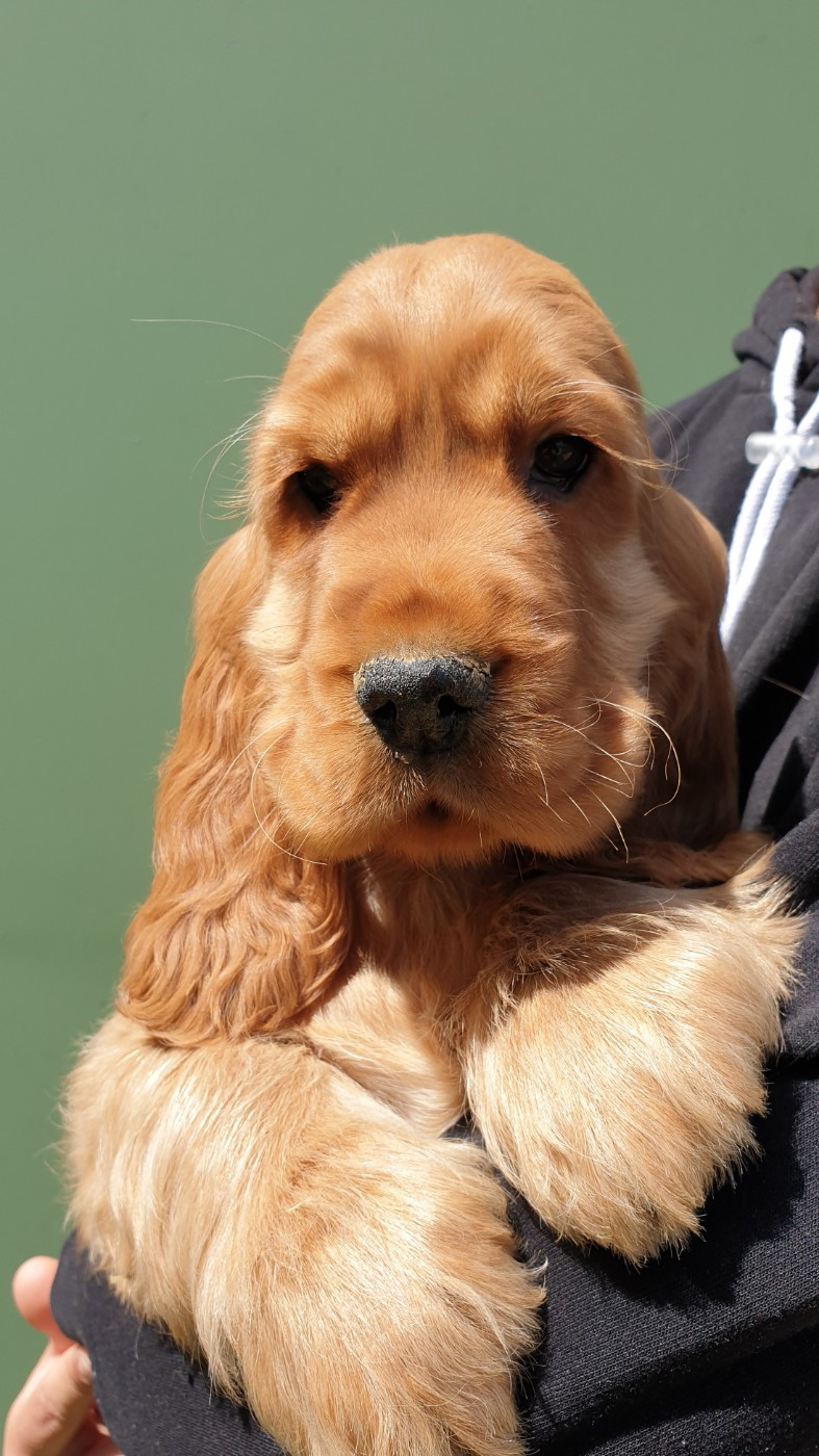 april du domaine de Std Gladyce