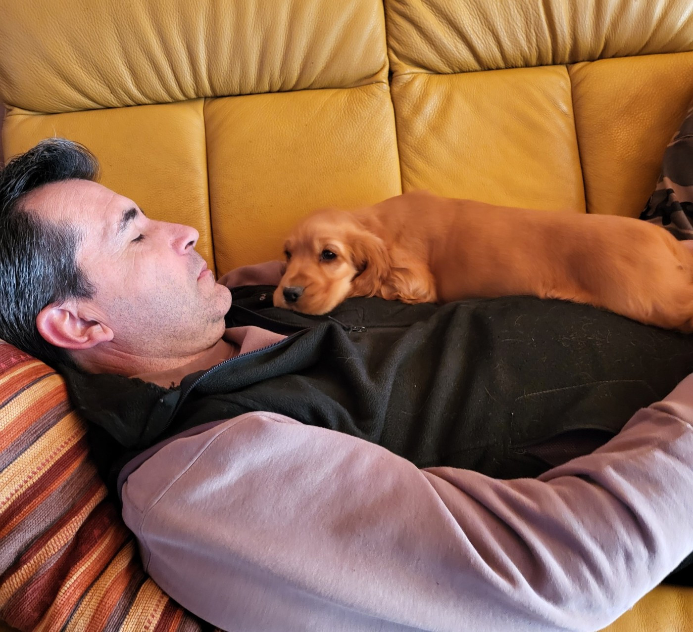 arielle du domaine de Std Gladyce