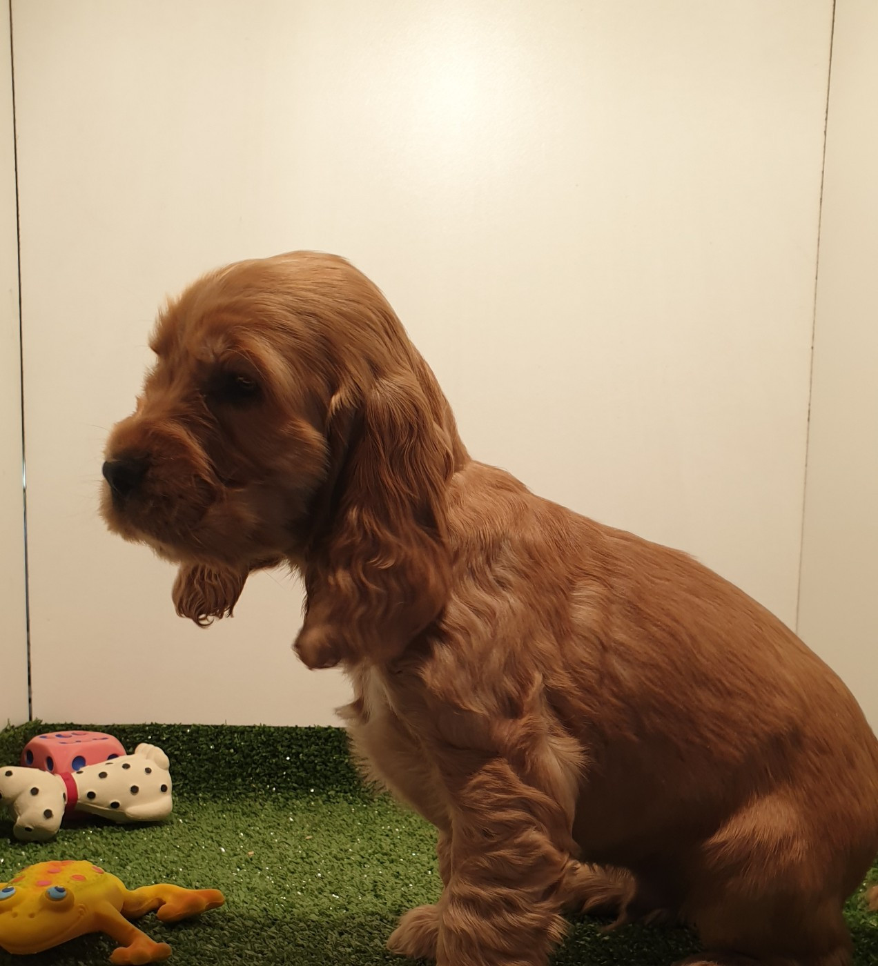 alors quoi du domaine de Std Gladyce